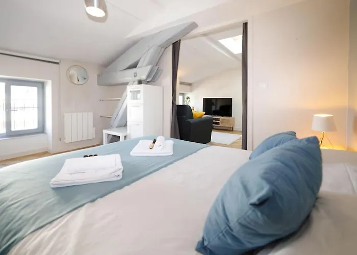 T2 Cozy Proche Du Centre Avec Canape Lit - 51Blatin