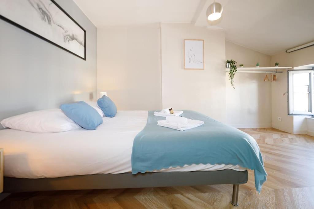 T2 Cozy Proche Du Centre Avec Canape Lit - 51blatin Clermont-Ferrand